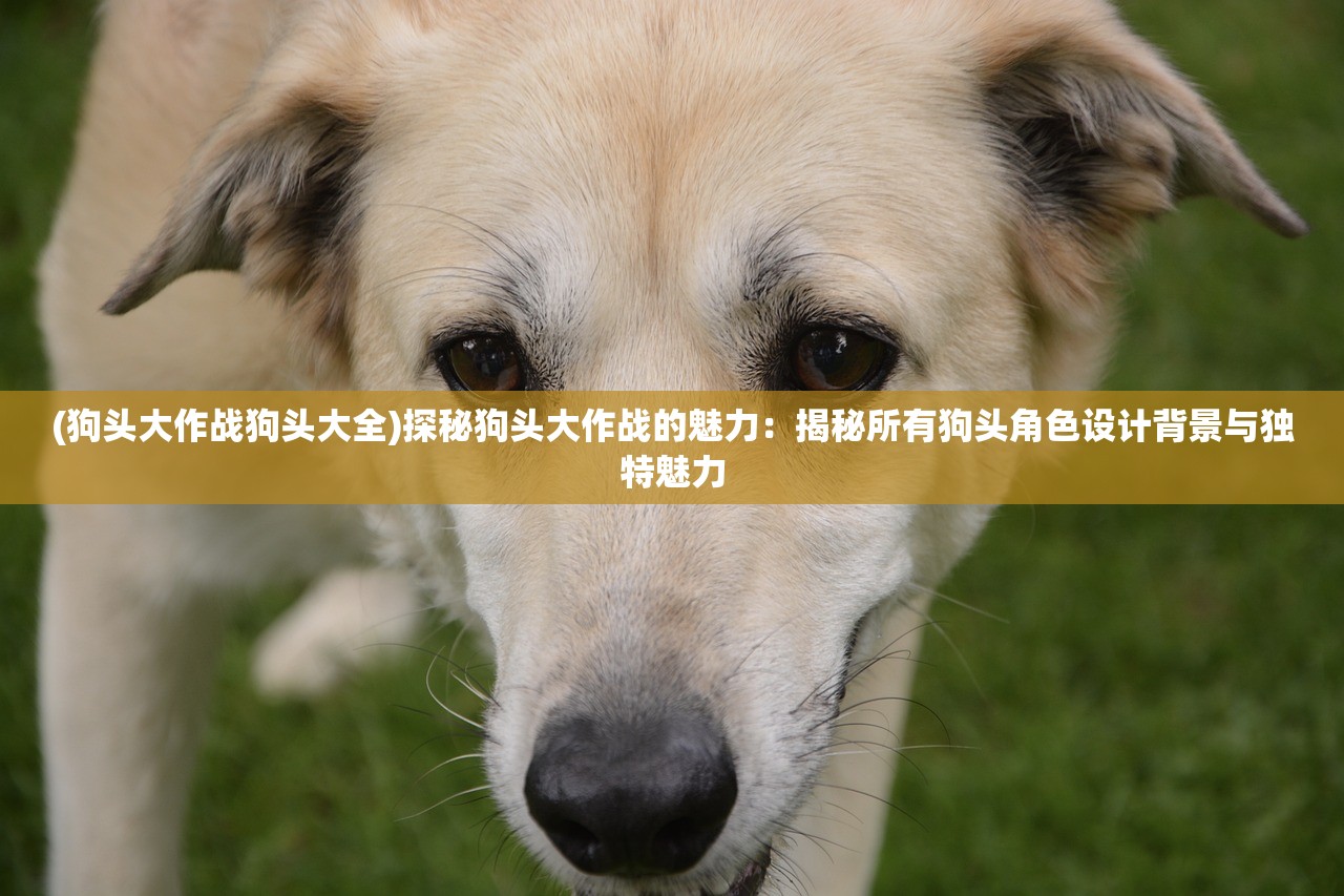 (歧路旅人大陆的霸者wiki日本)歧路旅人大陆的霸者Wiki，深度解析与常见问答