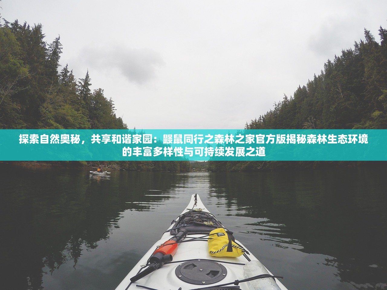 新奥天天开奖免费资料1|探索未知的奇妙旅程_Pixel.5.794