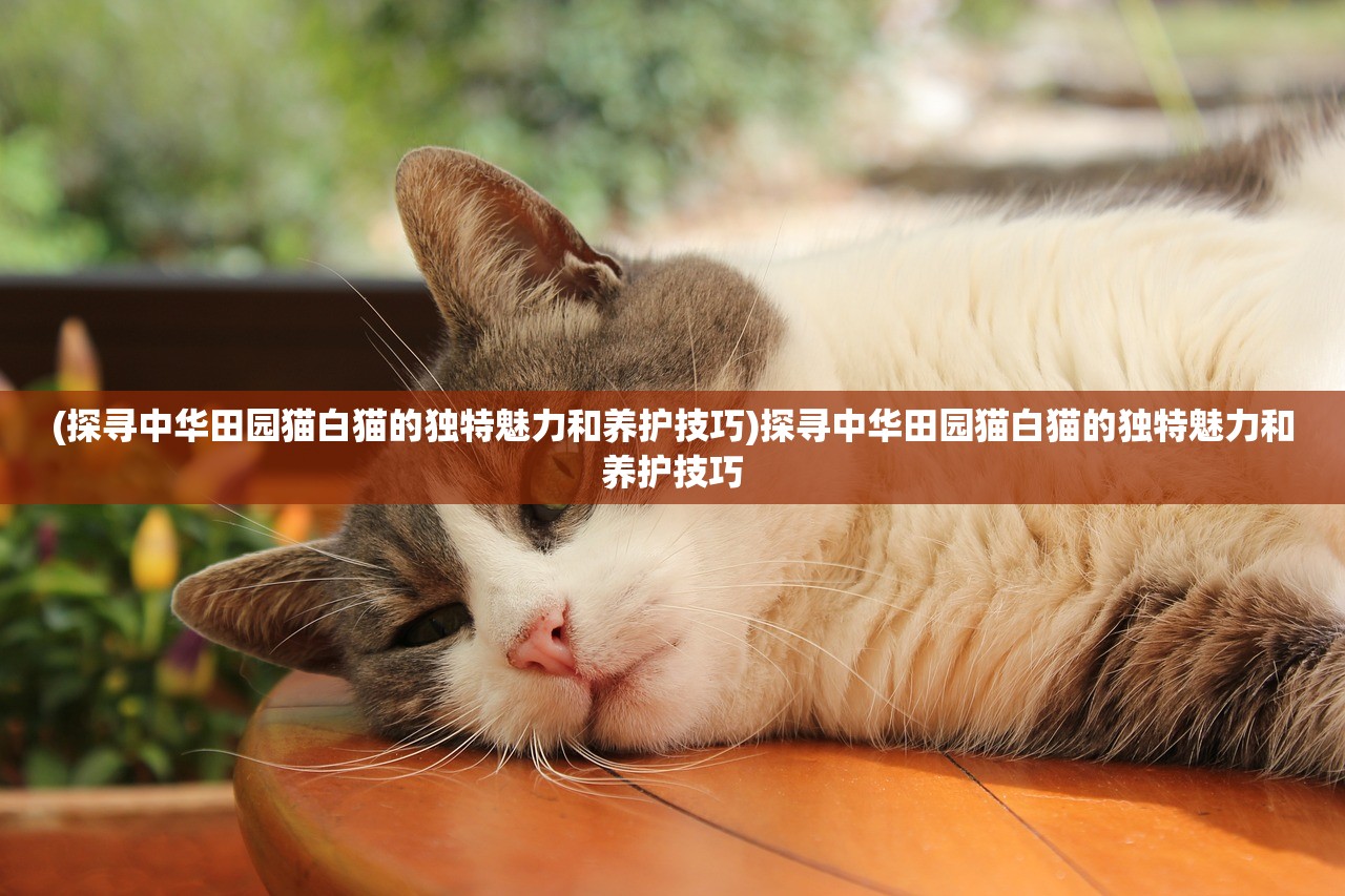 (大贵族莱杰罗和罗迪什么关系)大贵族莱杰罗,权力与荣耀的交织 (大贵族莱杰罗和罗迪什么关系)大贵族莱杰罗,权力与荣耀的交织