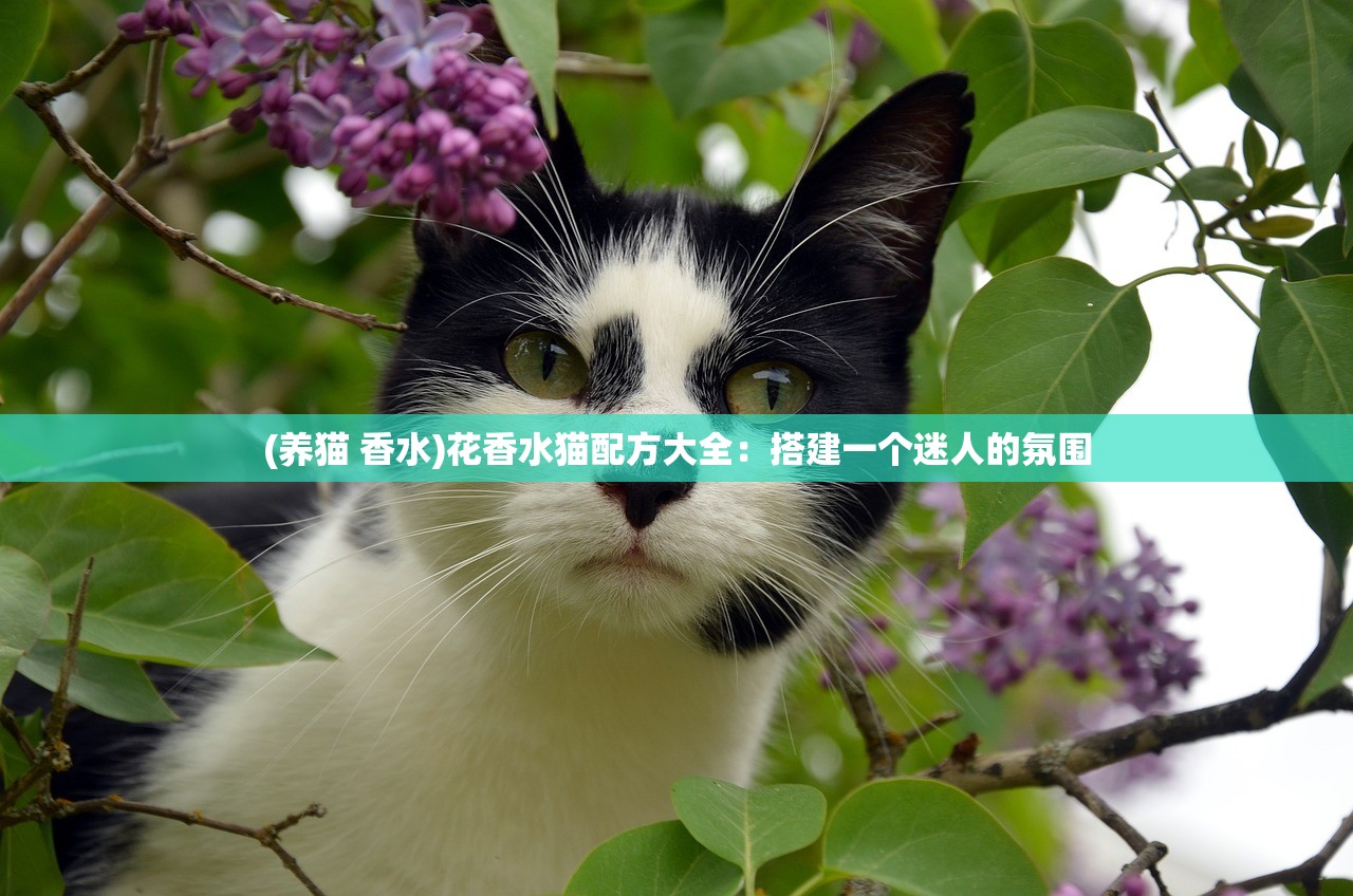 (退出单位群聊群,该怎么跟别人告别)如何优雅且真诚地与别人告别，一种多维度的探讨