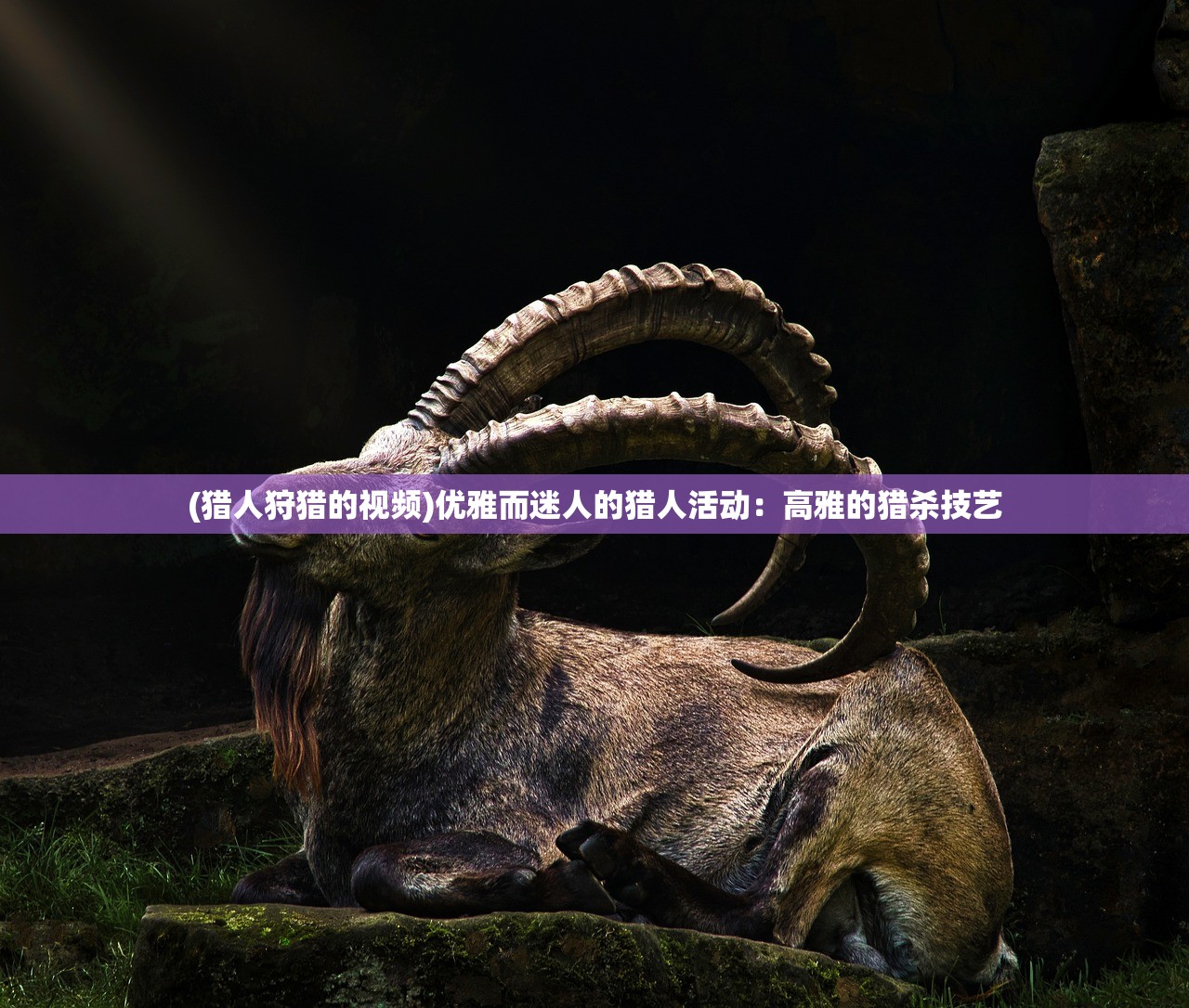(btx钢铁骑兵第二季)BTX钢铁骑兵，重塑未来战场的新纪元
