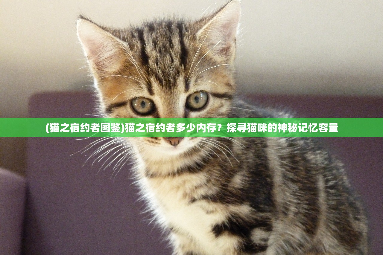 (黄飞鸿之怒海雄风)怒海雄风，探索未知海域的勇者传奇