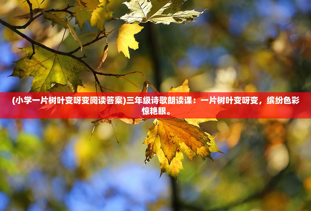 (黄飞鸿之怒海雄风)怒海雄风，探索未知海域的勇者传奇