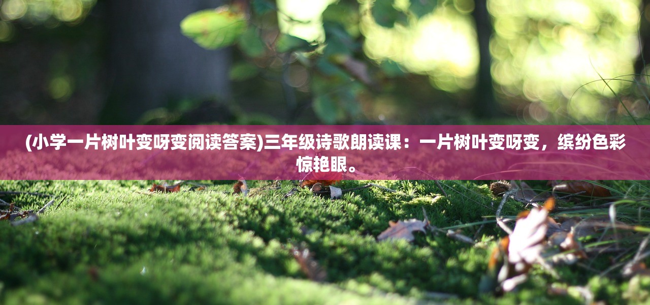 (旷野之狩怎么能进去的)旷野之狩进入攻略,全方位指南与常见问题解答 (旷野之狩怎么能进去的)旷野之狩进入攻略,全方位指南与常见问题解答