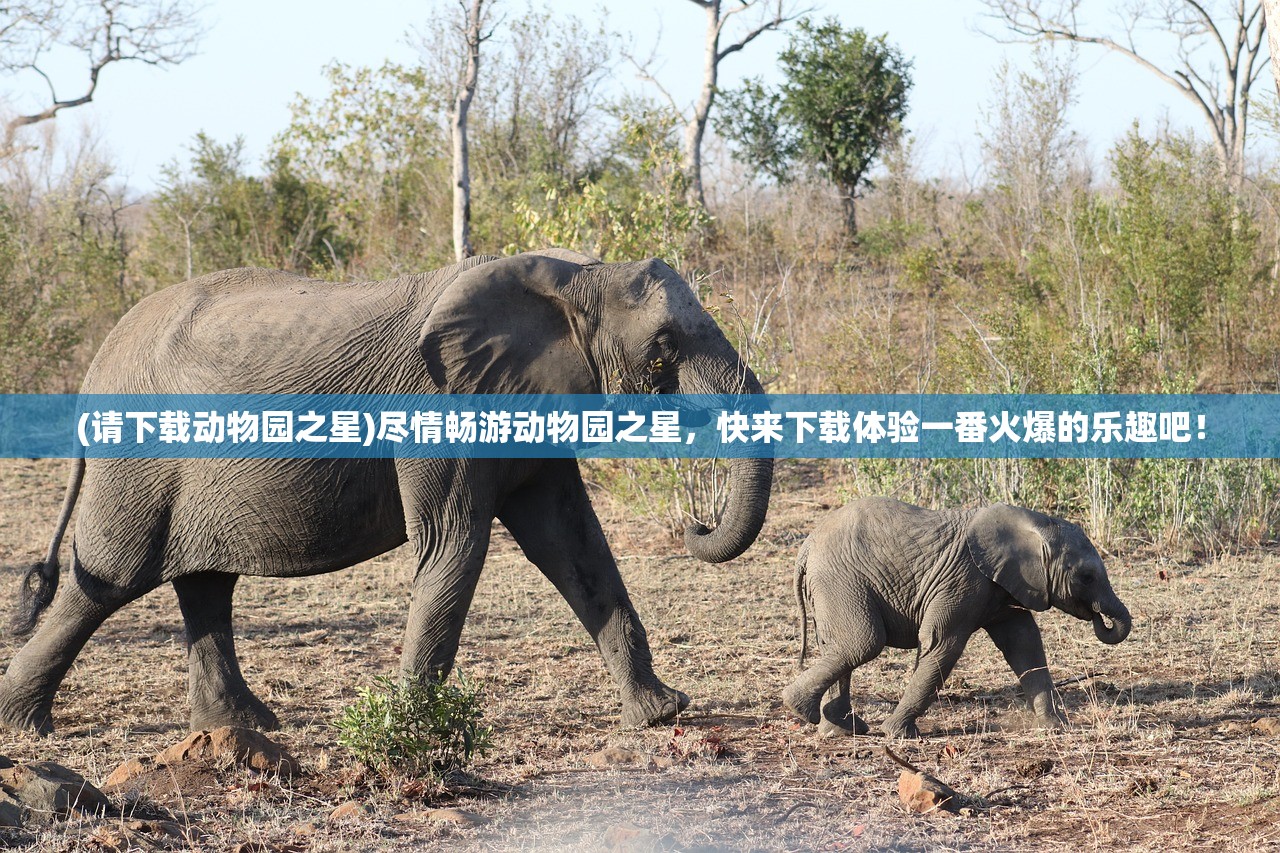 (小小西游ol改成什么了)小小西游ol单机版，探索经典与创新的完美结合