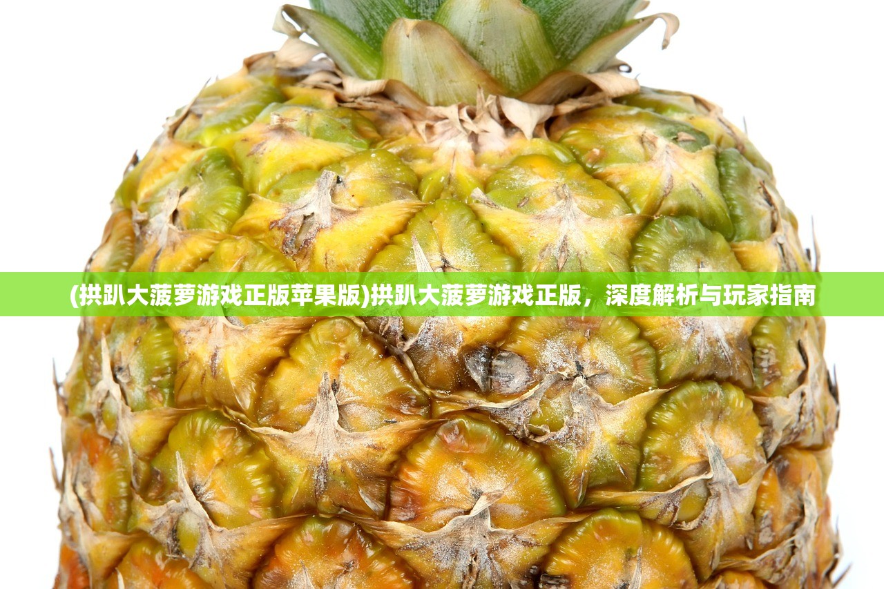 (微信部落大乱斗阵容推荐)部落大乱斗阵容推荐攻略及常见问答