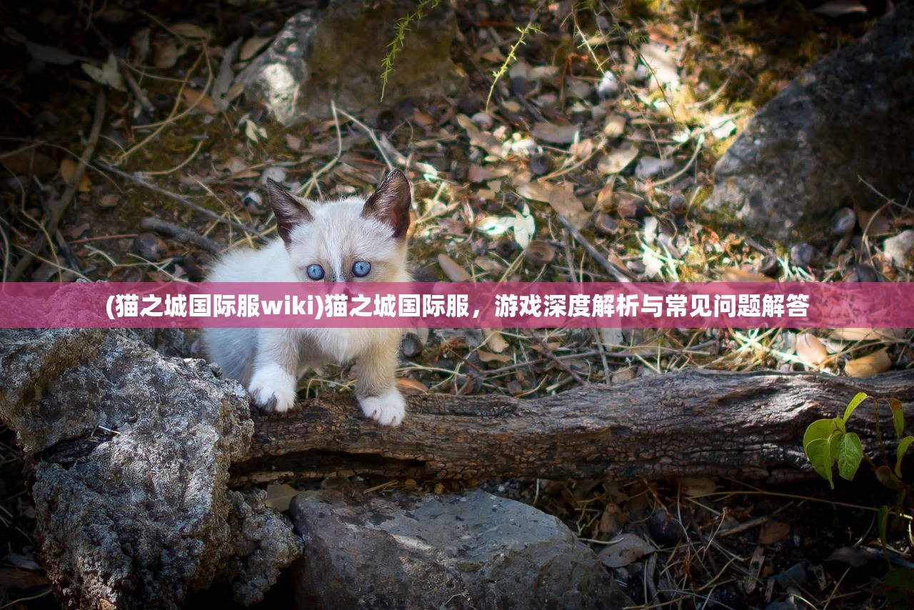 (萃星物语 下架了吗)萃星物语下架，探究原因与未来展望