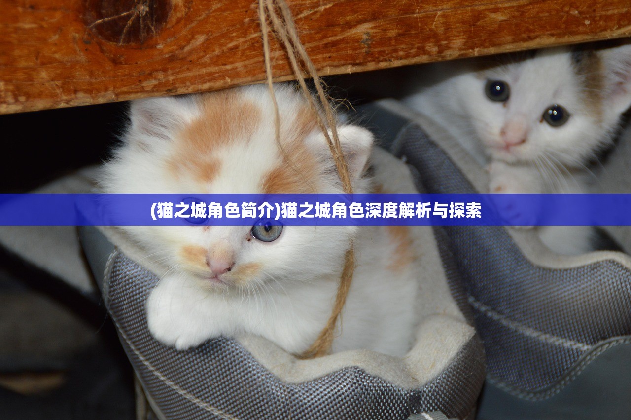 (迷之国度最强阵容搭配)迷之国度最强阵容，策略、英雄与无敌之师