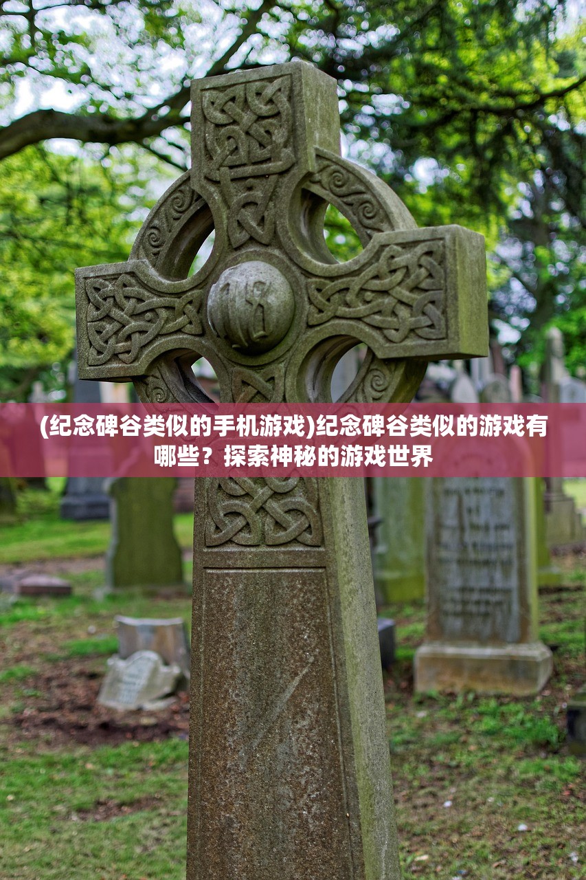 基于ProjectDWDNF的多元化分析与探索