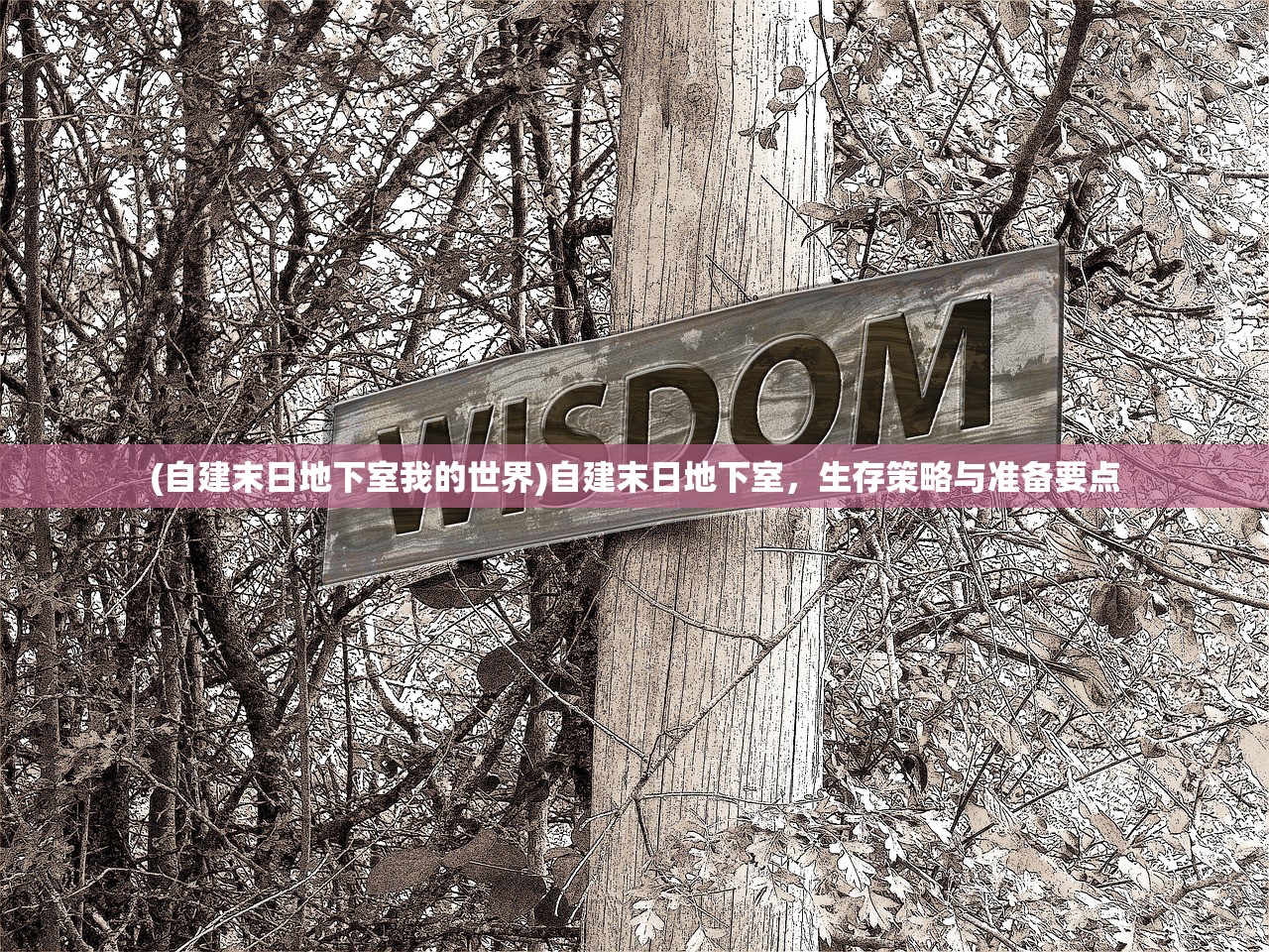 基于ProjectDWDNF的多元化分析与探索