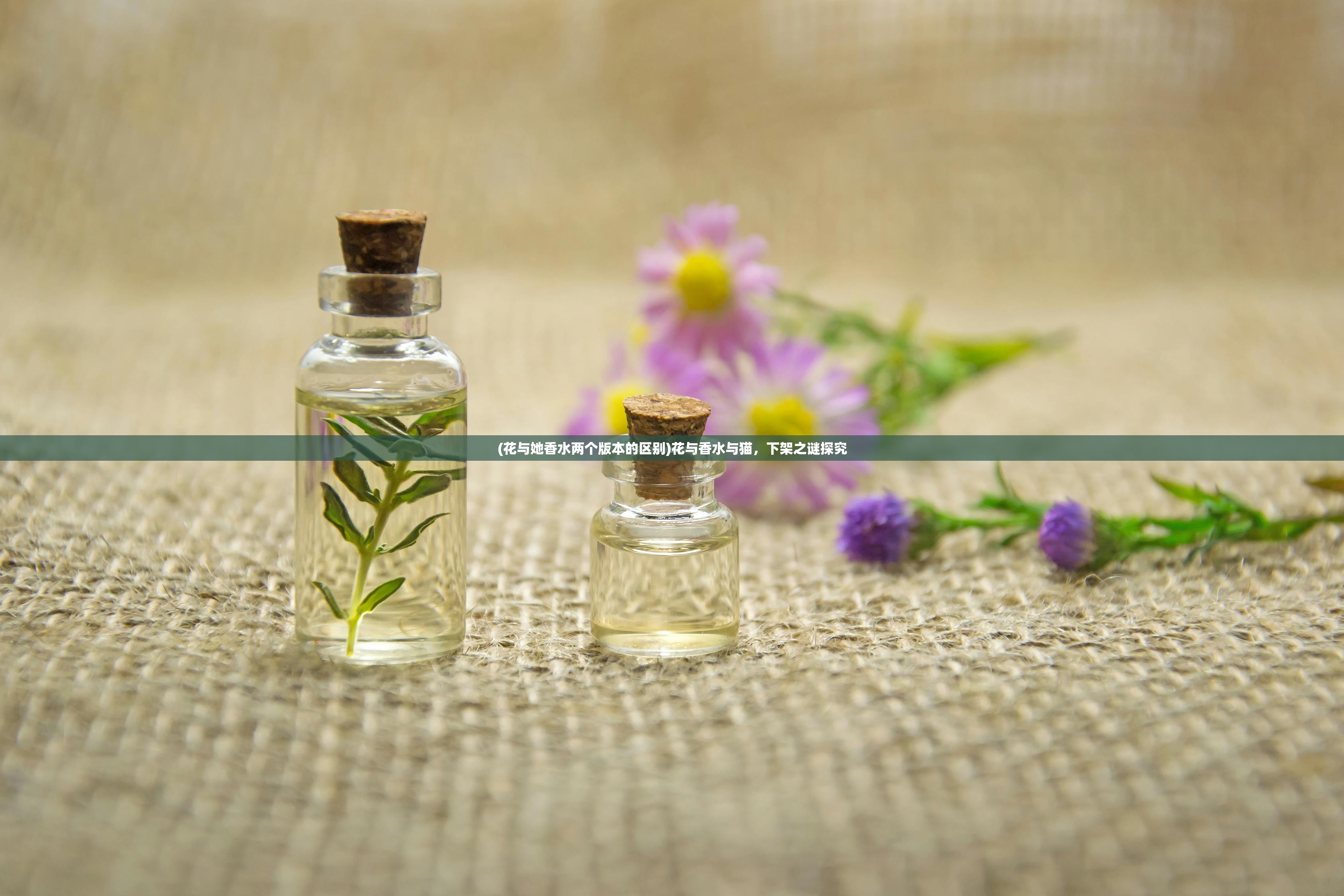 (黑神话 悟空进度)揭秘黑神话悟空DLC进度,玩家热切期待的全新篇章曝光 (黑神话 悟空进度)揭秘黑神话悟空DLC进度,玩家热切期待的全新篇章曝光