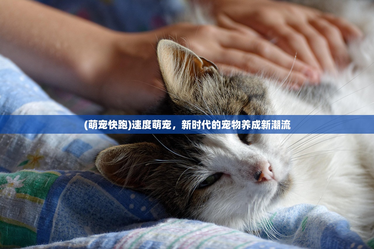 (无双传奇手游)三传奇无双传奇无双传奇无双，深入解析无双传奇的魅力与独特之处