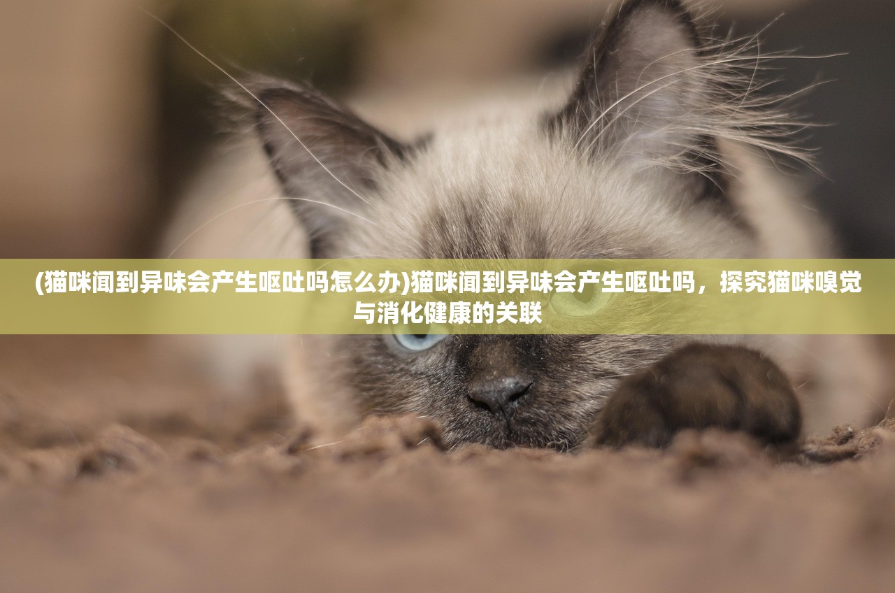 (三国杀ol官服下载)三国杀OL官服，游戏深度分析与常见问题解答