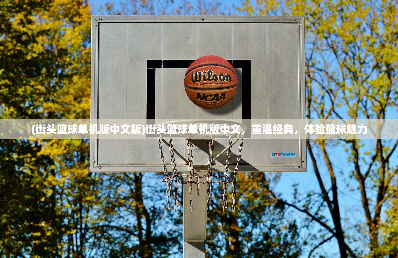 (加德尔契约英雄排行榜)加德尔契约英雄排行及深度解析 (加德尔契约英雄排行榜)加德尔契约英雄排行及深度解析