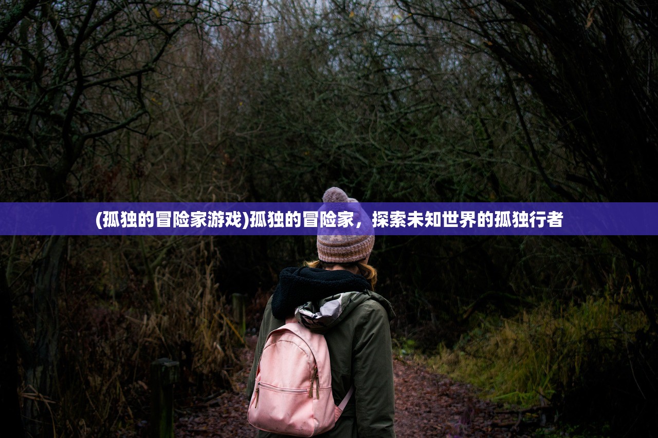 (孤独的冒险家游戏)孤独的冒险家,探索未知世界的孤独行者 (孤独的冒险家游戏)孤独的冒险家,探索未知世界的孤独行者