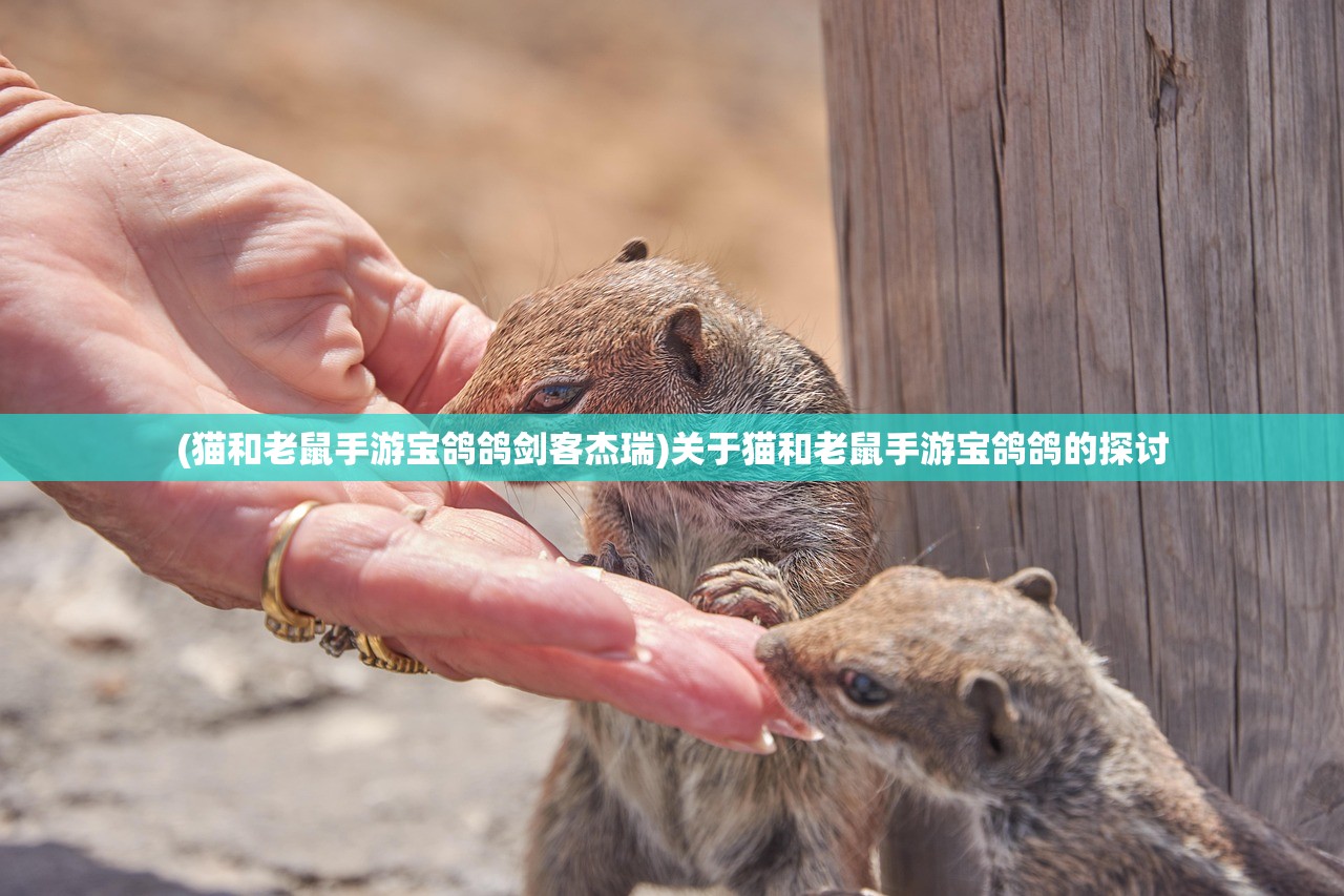 (猫和老鼠手游宝鸽鸽剑客杰瑞)关于猫和老鼠手游宝鸽鸽的探讨 (猫和老鼠手游宝鸽鸽剑客杰瑞)关于猫和老鼠手游宝鸽鸽的探讨