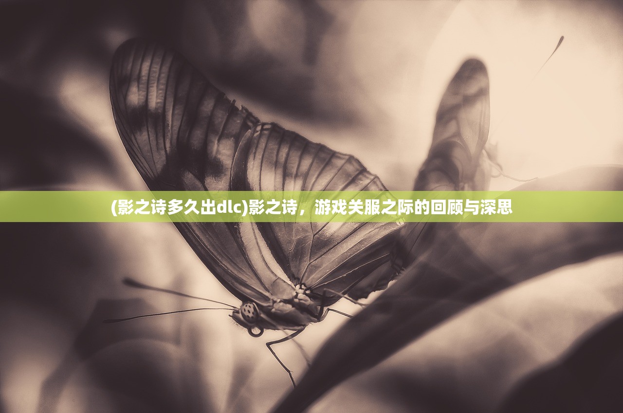 (影之诗多久出dlc)影之诗，游戏关服之际的回顾与深思